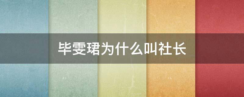 毕雯珺为什么叫社长 毕雯珺为什么叫毕社长