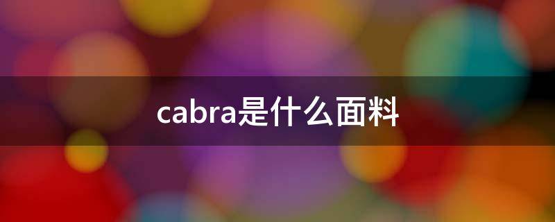 cabra是什么面料（CA是什么面料）