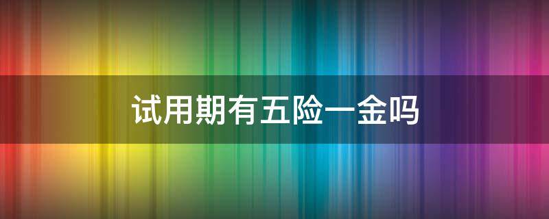 试用期有五险一金吗（辅警试用期有五险一金吗）