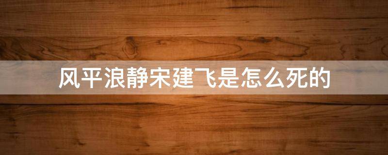 风平浪静宋建飞是怎么死的 风平浪静宋浩捅死的是谁