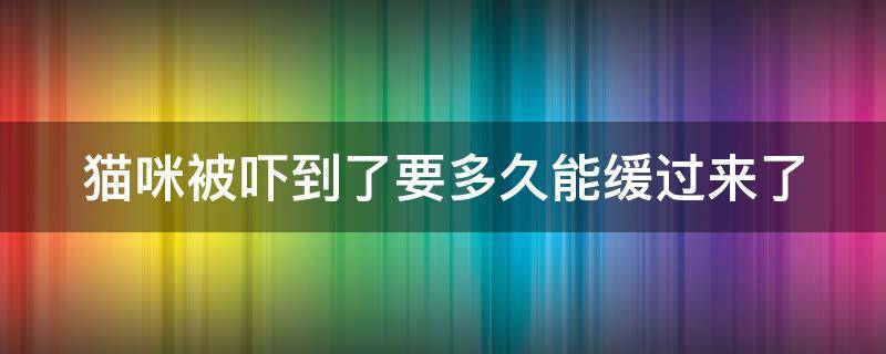 猫咪被吓到了要多久能缓过来了（猫咪被吓到了要多久能缓过来了呀）