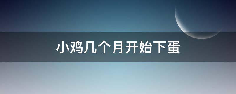 小鸡几个月开始下蛋 小鸡几个月开始下蛋?