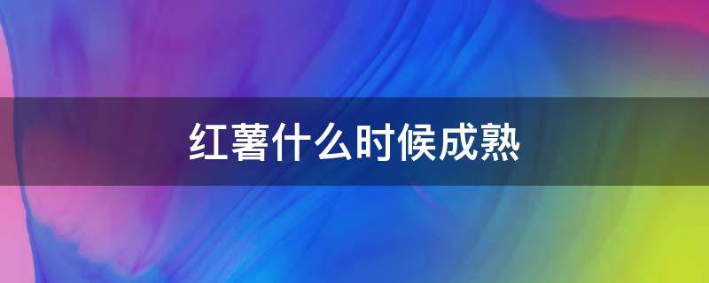 红薯什么时候成熟（云南红薯什么时候成熟）