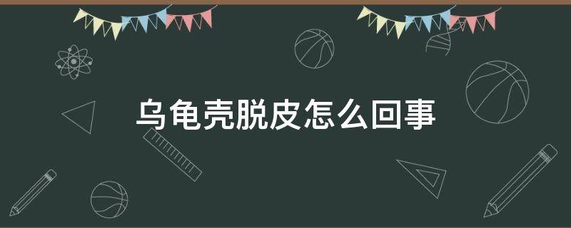 乌龟壳脱皮怎么回事 乌龟壳脱皮正常吗