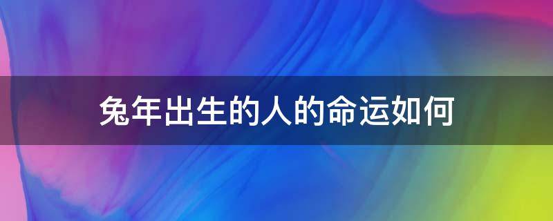 兔年出生的人的命运如何（兔年出生的人的命运怎么样）