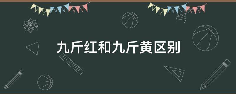 九斤红和九斤黄区别 九斤红是什么意思