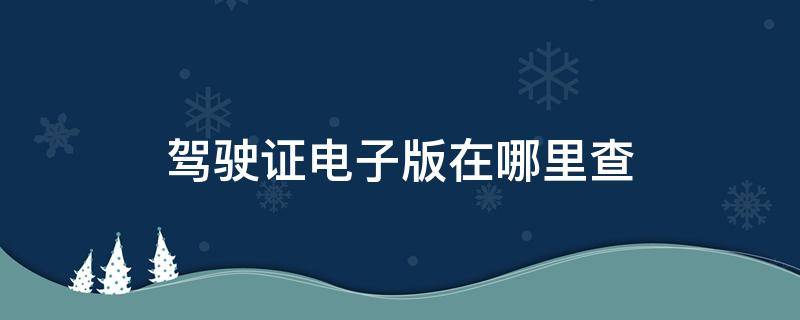 驾驶证电子版在哪里查 在哪里可以查到电子版驾驶证