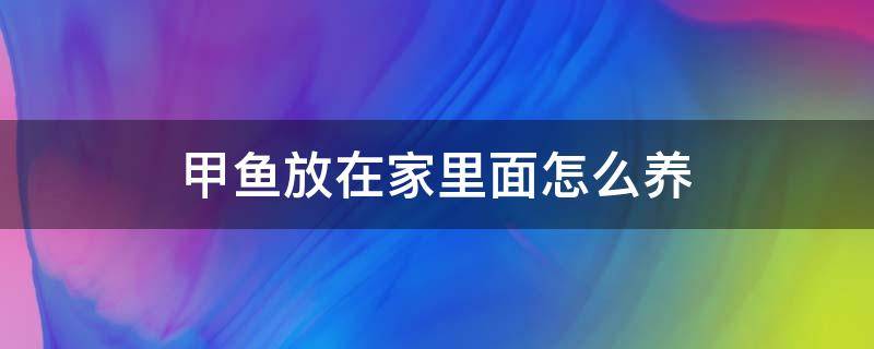 甲鱼放在家里面怎么养（甲鱼放在家里面怎么养,吃什么）