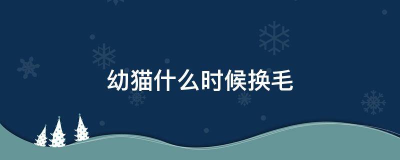 幼猫什么时候换毛 幼猫从什么时候开始换毛