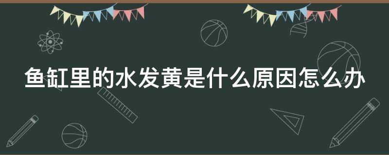 鱼缸里的水发黄是什么原因怎么办 鱼缸水发黄但是水很清