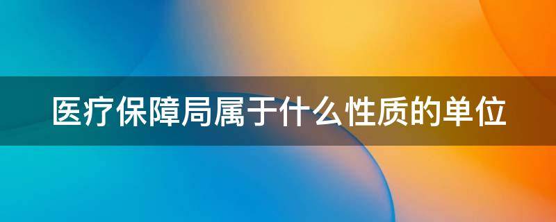 医疗保障局属于什么性质的单位（医疗保障局属于哪个部门）