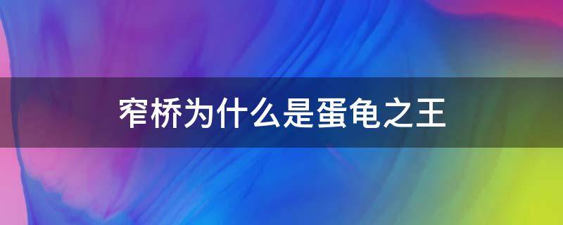 窄桥为什么是蛋龟之王（窄桥龟为什么是蛋龟之王）