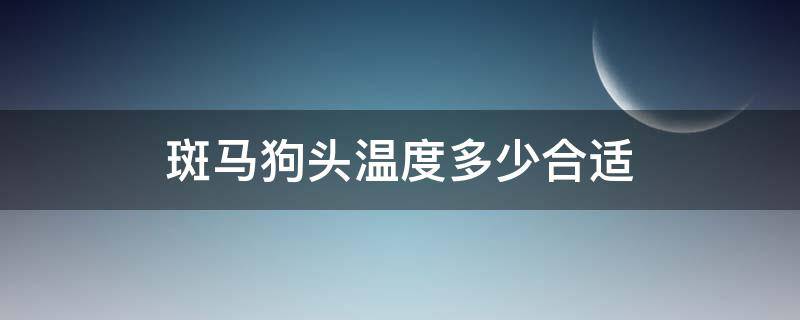 斑马狗头温度多少合适 斑马狗头最低温度多少