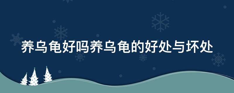 养乌龟好吗养乌龟的好处与坏处 养乌龟是好还是坏有什么禁忌