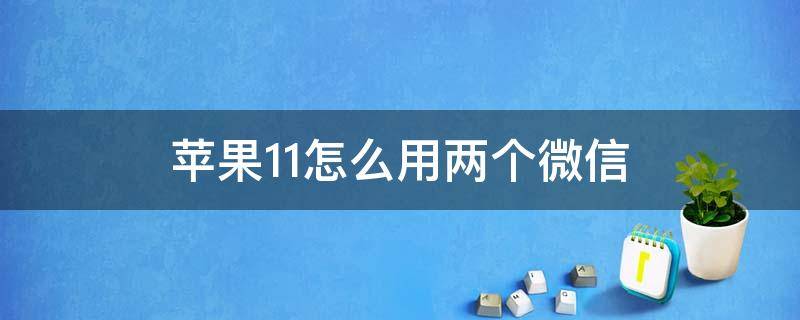 苹果11怎么用两个微信（苹果11怎么用两个微信软件）