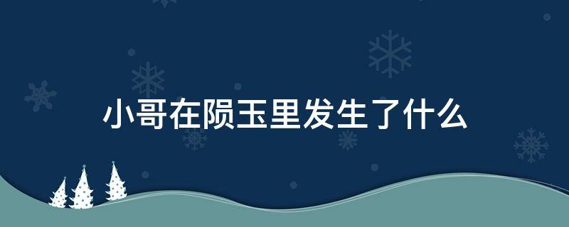 小哥在陨玉里发生了什么 终极笔记小哥在陨玉里发生了什么