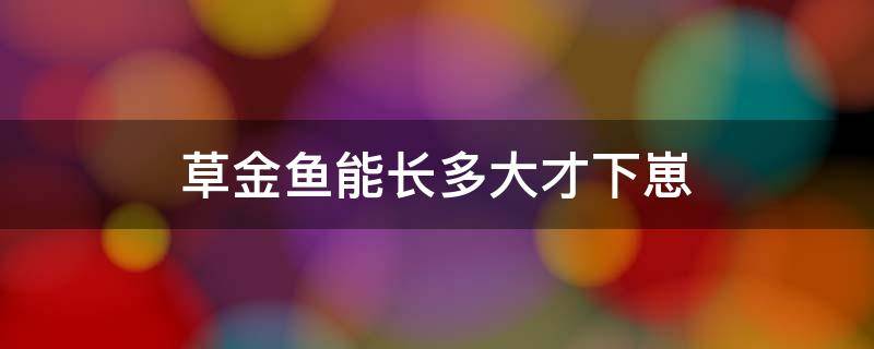 草金鱼能长多大才下崽（草金鱼长多大就能生小鱼了）