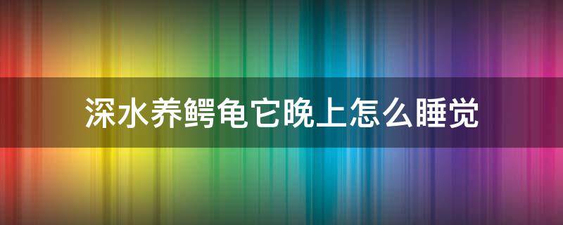 深水养鳄龟它晚上怎么睡觉 小鳄龟晚上睡觉么