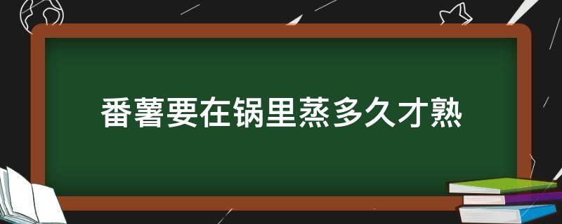 番薯要在锅里蒸多久才熟（番薯蒸多久才熟）