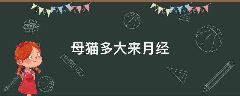 母猫多大来月经 母猫几个月大来月经