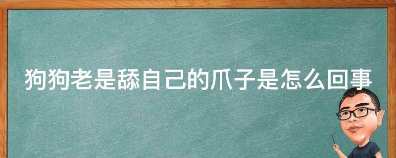 狗狗老是舔自己的爪子是怎么回事（狗狗老是舔自己的爪子是怎么回事啊）