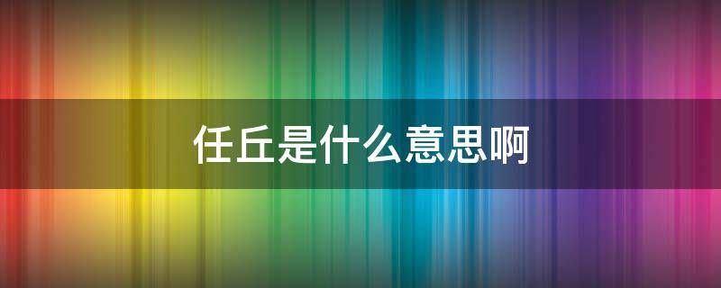 任丘是什么意思啊 有任丘这个词吗