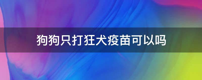 狗狗只打狂犬疫苗可以吗 狗可不可以只打狂犬疫苗