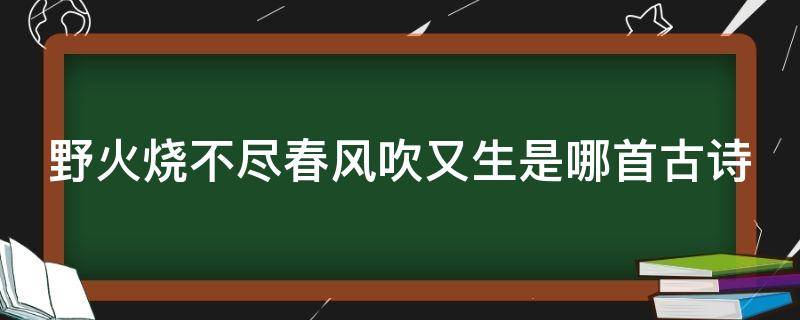 野火烧不尽春风吹又生是哪首古诗 野火烧不尽春风吹又生是哪首古诗的意思