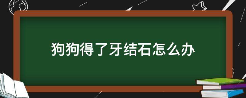 狗狗得了牙结石怎么办 狗狗有牙结石怎么回事