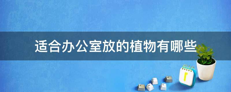 适合办公室放的植物有哪些 最适合放在办公室的植物