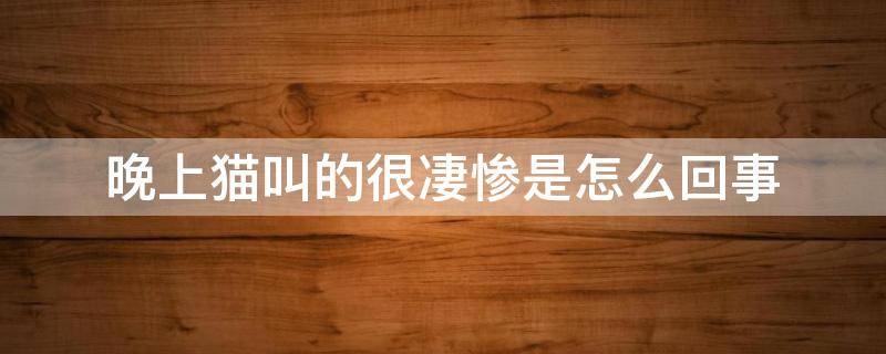 晚上猫叫的很凄惨是怎么回事 晚上猫叫的很凄惨是怎么回事是外面的野猫