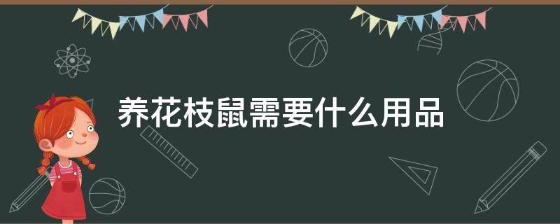 养花枝鼠需要什么用品（新人养花枝鼠需要买什么用品）