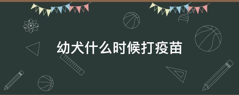 幼犬什么时候打疫苗 边牧幼犬什么时候打疫苗