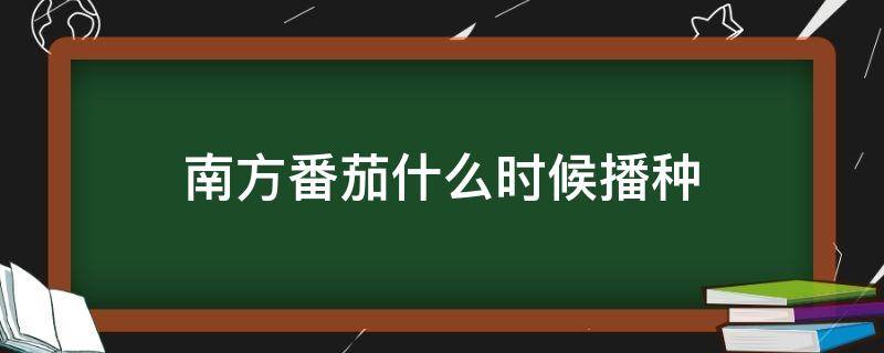 南方番茄什么时候播种（南方番茄什么时候播种最好）