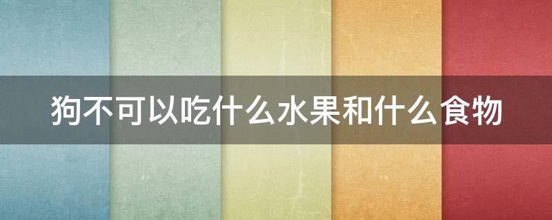 狗不可以吃什么水果和什么食物 狗不能吃什么水果清单