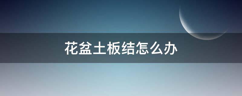 花盆土板结怎么办（花盆土板结怎么办有什么方法解决）