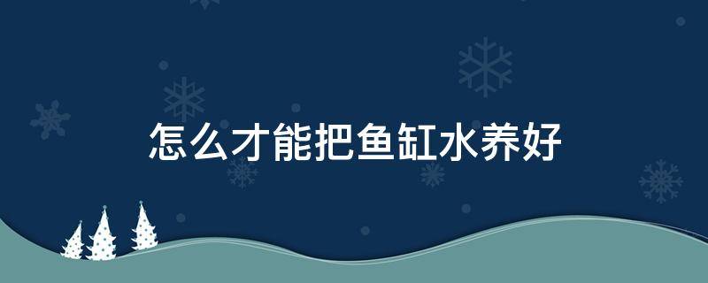 怎么才能把鱼缸水养好（怎样把鱼缸水养好）