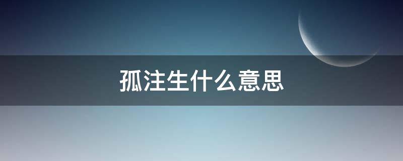 孤注生什么意思（孤注是什么意思）