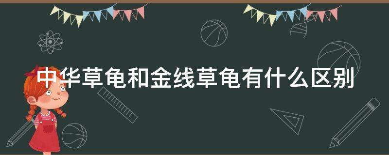 中华草龟和金线草龟有什么区别 中华草龟和金线草龟有什么区别?