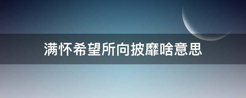 满怀希望所向披靡啥意思 满怀希望所向披靡什么意思