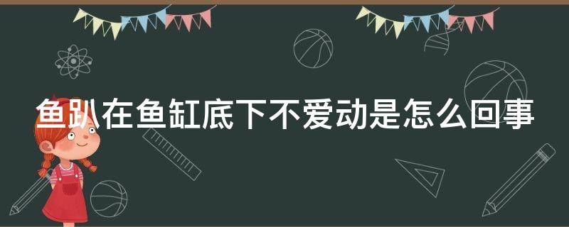 鱼趴在鱼缸底下不爱动是怎么回事 鱼趴缸底的最佳治疗