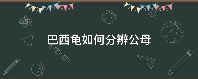 巴西龟如何分辨公母（巴西龟如何分辨公母图片）