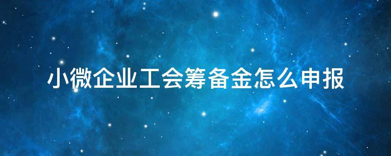 小微企业工会筹备金怎么申报（小微企业工会经费怎么申报）