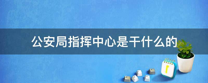 公安局指挥中心是干什么的 公安局指挥处是干嘛的