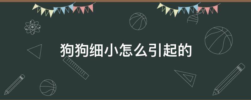 狗狗细小怎么引起的 狗狗犬细小一般是怎样引起的