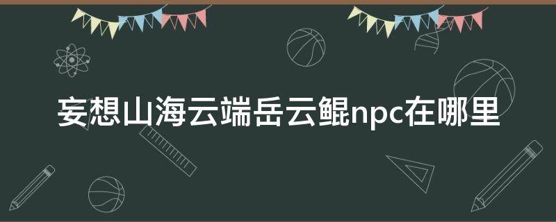 妄想山海云端岳云鲲npc在哪里（妄想山海岳云鲲NPC在哪里）