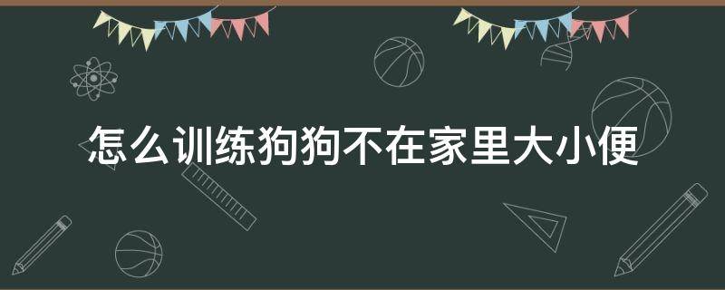 怎么训练狗狗不在家里大小便 怎么训练狗狗不在家里大小便免费教程