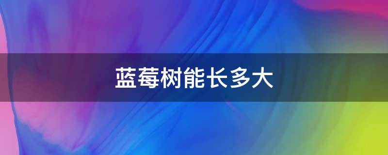 蓝莓树能长多大 蓝莓树能长多大多高