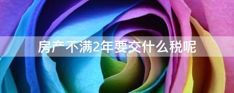 房产不满2年要交什么税呢（房产未满两年需要交什么税）