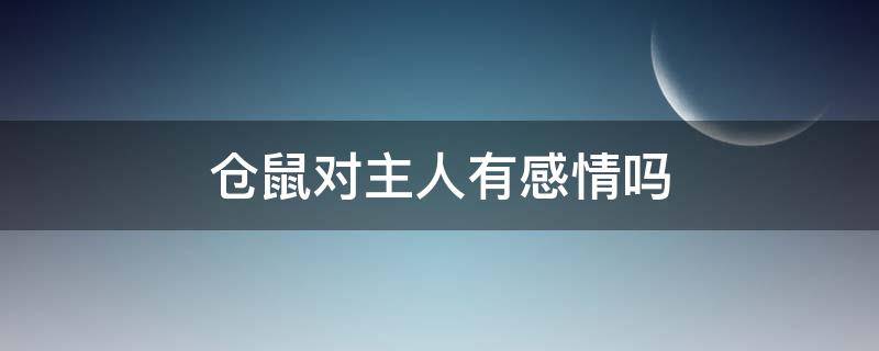 仓鼠对主人有感情吗（仓鼠重感情吗）